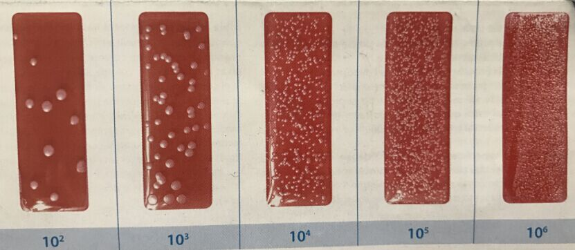 1679295220485722.png 圖片4.png